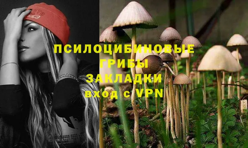 Галлюциногенные грибы Psilocybe  где купить наркоту  Ливны 